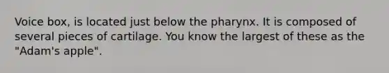 Voice box, is located just below the pharynx. It is composed of several pieces of cartilage. You know the largest of these as the "Adam's apple".