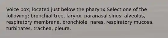 Voice box; located just below <a href='https://www.questionai.com/knowledge/ktW97n6hGJ-the-pharynx' class='anchor-knowledge'>the pharynx</a> Select one of the following; bronchial tree, larynx, paranasal sinus, alveolus, respiratory membrane, bronchiole, nares, respiratory mucosa, turbinates, trachea, pleura.