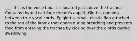 ___- this is the voice box. It is located just above the trachea -Contains thyroid cartilage (Adam's apple) -Glottis- opening between true vocal cords -Epiglottis- small, elastic flap attached to the top of the larynx that opens during breathing and prevents food from entering the trachea by closing over the glottis during swallowing.