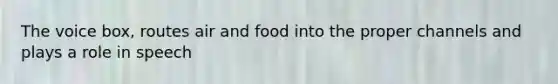 The voice box, routes air and food into the proper channels and plays a role in speech