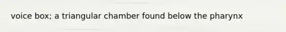 voice box; a triangular chamber found below the pharynx