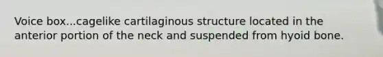 Voice box...cagelike cartilaginous structure located in the anterior portion of the neck and suspended from hyoid bone.