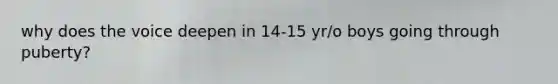 why does the voice deepen in 14-15 yr/o boys going through puberty?