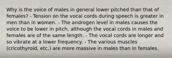 Why is the voice of males in general lower pitched than that of females? - Tension on the vocal cords during speech is greater in men than in women. - The androgen level in males causes the voice to be lower in pitch, although the vocal cords in males and females are of the same length. - The vocal cords are longer and so vibrate at a lower frequency. - The various muscles (cricothyroid, etc.) are more massive in males than in females.