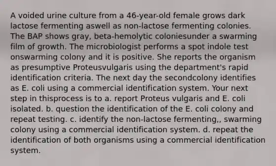 A voided urine culture from a 46-year-old female grows dark lactose fermenting aswell as non-lactose fermenting colonies. The BAP shows gray, beta-hemolytic coloniesunder a swarming film of growth. The microbiologist performs a spot indole test onswarming colony and it is positive. She reports the organism as presumptive Proteusvulgaris using the department's rapid identification criteria. The next day the secondcolony identifies as E. coli using a commercial identification system. Your next step in thisprocess is to a. report Proteus vulgaris and E. coli isolated. b. question the identification of the E. coli colony and repeat testing. c. identify the non-lactose fermenting,, swarming colony using a commercial identification system. d. repeat the identification of both organisms using a commercial identification system.