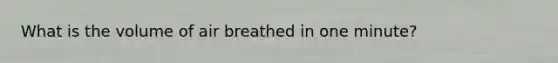 What is the volume of air breathed in one minute?