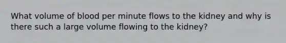 What volume of blood per minute flows to the kidney and why is there such a large volume flowing to the kidney?