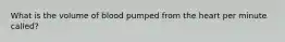 What is the volume of blood pumped from the heart per minute called?