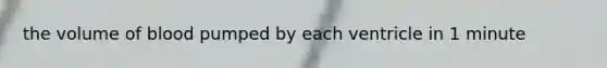 the volume of blood pumped by each ventricle in 1 minute