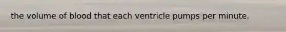 the volume of blood that each ventricle pumps per minute.