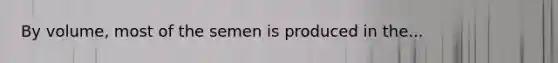 By volume, most of the semen is produced in the...