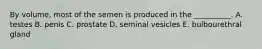 By volume, most of the semen is produced in the __________. A. testes B. penis C. prostate D. seminal vesicles E. bulbourethral gland