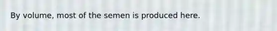 By volume, most of the semen is produced here.