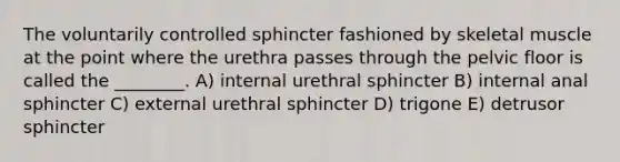 The voluntarily controlled sphincter fashioned by skeletal muscle at the point where the urethra passes through the pelvic floor is called the ________. A) internal urethral sphincter B) internal anal sphincter C) external urethral sphincter D) trigone E) detrusor sphincter