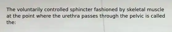 The voluntarily controlled sphincter fashioned by skeletal muscle at the point where the urethra passes through the pelvic is called the: