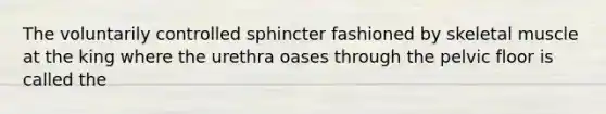 The voluntarily controlled sphincter fashioned by skeletal muscle at the king where the urethra oases through the pelvic floor is called the