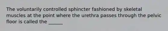 The voluntarily controlled sphincter fashioned by skeletal muscles at the point where the urethra passes through the pelvic floor is called the ______