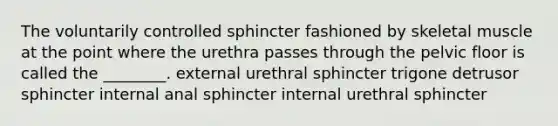 The voluntarily controlled sphincter fashioned by skeletal muscle at the point where the urethra passes through the pelvic floor is called the ________. external urethral sphincter trigone detrusor sphincter internal anal sphincter internal urethral sphincter