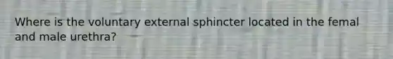 Where is the voluntary external sphincter located in the femal and male urethra?