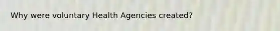 Why were voluntary Health Agencies created?