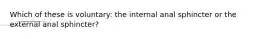 Which of these is voluntary: the internal anal sphincter or the external anal sphincter?