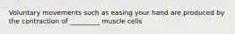 Voluntary movements such as easing your hand are produced by the contraction of _________ muscle cells