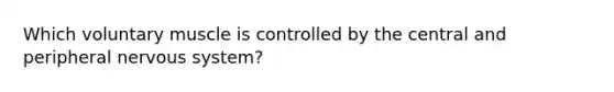 Which voluntary muscle is controlled by the central and peripheral nervous system?