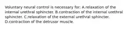 Voluntary neural control is necessary for: A.relaxation of the internal urethral sphincter. B.contraction of the internal urethral sphincter. C.relaxation of the external urethral sphincter. D.contraction of the detrusor muscle.