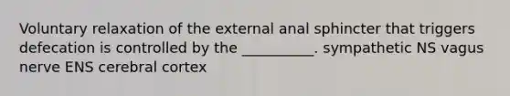 Voluntary relaxation of the external anal sphincter that triggers defecation is controlled by the __________. sympathetic NS vagus nerve ENS cerebral cortex