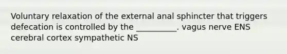 Voluntary relaxation of the external anal sphincter that triggers defecation is controlled by the __________. vagus nerve ENS cerebral cortex sympathetic NS