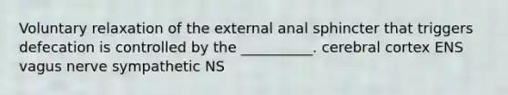 Voluntary relaxation of the external anal sphincter that triggers defecation is controlled by the __________. cerebral cortex ENS vagus nerve sympathetic NS