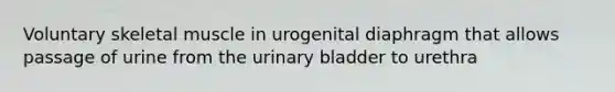 Voluntary skeletal muscle in urogenital diaphragm that allows passage of urine from the <a href='https://www.questionai.com/knowledge/kb9SdfFdD9-urinary-bladder' class='anchor-knowledge'>urinary bladder</a> to urethra