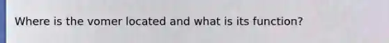 Where is the vomer located and what is its function?