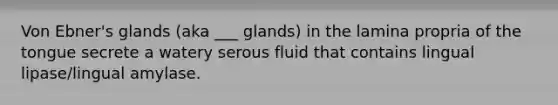 Von Ebner's glands (aka ___ glands) in the lamina propria of the tongue secrete a watery serous fluid that contains lingual lipase/lingual amylase.