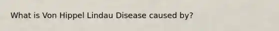 What is Von Hippel Lindau Disease caused by?