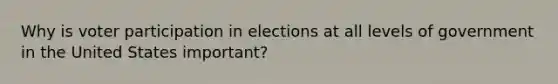 Why is voter participation in elections at all levels of government in the United States important?