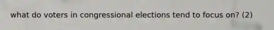 what do voters in congressional elections tend to focus on? (2)