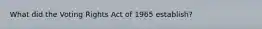 What did the Voting Rights Act of 1965 establish?
