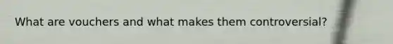 What are vouchers and what makes them controversial?