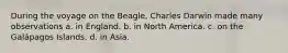 During the voyage on the Beagle, Charles Darwin made many observations a. in England. b. in North America. c. on the Galápagos Islands. d. in Asia.