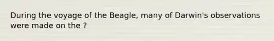 During the voyage of the Beagle, many of Darwin's observations were made on the ?