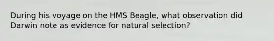 During his voyage on the HMS Beagle, what observation did Darwin note as evidence for natural selection?