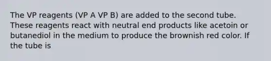 The VP reagents (VP A VP B) are added to the second tube. These reagents react with neutral end products like acetoin or butanediol in the medium to produce the brownish red color. If the tube is