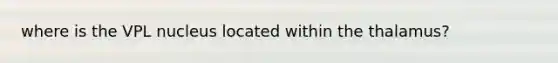where is the VPL nucleus located within the thalamus?