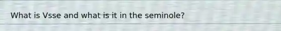 What is Vsse and what is it in the seminole?