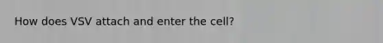 How does VSV attach and enter the cell?