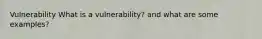 Vulnerability What is a vulnerability? and what are some examples?