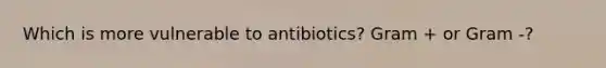 Which is more vulnerable to antibiotics? Gram + or Gram -?