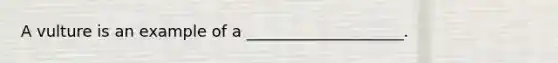 A vulture is an example of a ____________________.