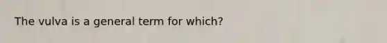 The vulva is a general term for which?